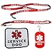 Service Dog Leash with Complimentary Kit - 3 Service Dog Bonuses: Service Dog Collar Tag, Lanyard, and Patch. Small Size Dogs.
