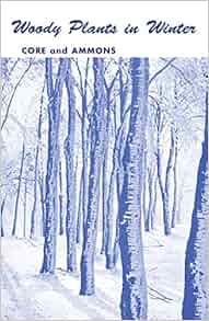 Woody Plants In Winter A Manual Of Common Trees And