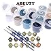 ABEUTY DIY Paint by Numbers for Adults Beginner (Framed Canvas)