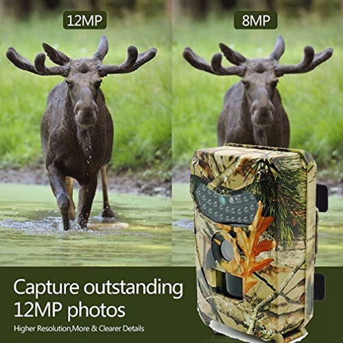 Booding Wildkamera Fotofalle 1080P Full HD 12MP mit Bewegungsmelder Nachtsicht Beutekameras mit Infrarot Leichtes Glühen… – Bild 8