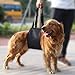 Dog Lift Harness,Sling Lift Support Harness for Injuries, Arthritis or Weak hind legs & Joints fit Medium and Large breed Assist Sling for mobility & Rehabilitation
