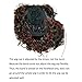 BeautySum Curly Synthetic Wigs for Black Women with Bangs Dark Brown Color African American Women - Natural Looking Short Hair Heat Resistant Natural 3/4 Half Wigs with Headband