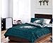 Philadelphia Eagles NFL Full Comforter & Sheet Set (5 Piece Bedding)