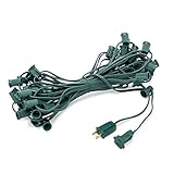 Holiday Lighting Outlet Christmas Light String | 25' Green Cord with 12" Spacing Between Sockets | Fits E17 Base Light Bulbs