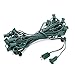 HLO Lighting C9 Light Strings | 100' Green Cord with 12