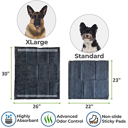 Alpha Paw Odor Eliminating Pee Pads for Dogs, Extra Thick Disposable LeakProof Dog Pads