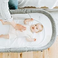 baby delight go with me slumber portable rocking bassinet