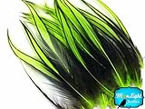 Rooster Feathers; LIME GREEN Laced Rooster Cape Feathers - 4 to 7 Inches long - 10 Pieces