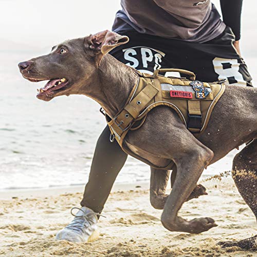 doberman tactical harness
