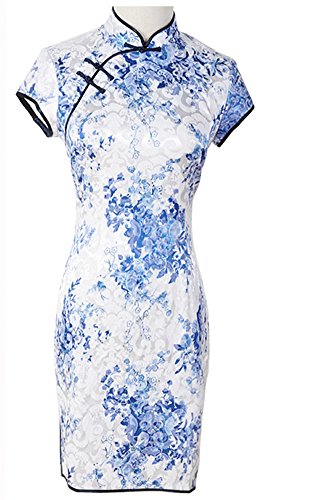 Purpura Erizo Womens Cap Sleeve Porcelain Print Cheongsam