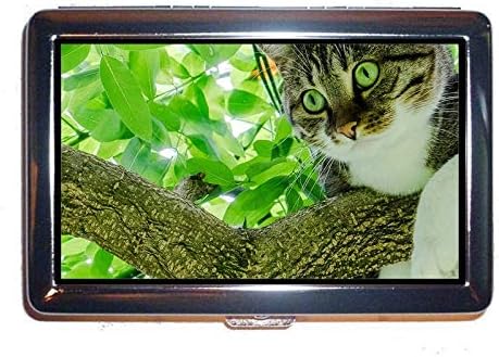 Amazon タバコケースボックス 緑色の目動物葉木小枝猫現金ホルダーケースボックス インテリア オンライン通販 Amazon タバコケースボックス 緑色の目動物葉木小枝猫現金ホルダーケースボックス インテリア オンライン通販