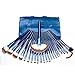 Professional 24pcs Blue Cosmetic Makeup Brushes Kit Toiletry set + Leather Case