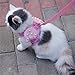 Adorable Cat Dog Kitty Puppy Safety Walking Vest Harness Leash Set Wings Costume Lace Peals (Pink, Medium)