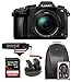 Panasonic LUMIX G85 Mirrorless Camera with 12-60mm Lens Bundle with Microphone, 64GB SDXC Memory Card, Battery and Dual Charger and Camera Bag (5 Items)