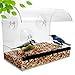 Window Bird Feeder - Bird Feeders For Outside - Acrylic Bird Feeder Window - Wild Bird Feeder - Modern Bird Feeder With See Through Bird Feeder – Best Gifts For Bird Lovers Women and Elderly Mother
