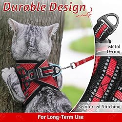 rabbitgoo Cat Harness and Leash Set for Walking