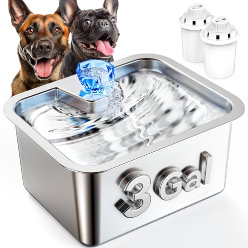 Stainless Steel Dog Water Fountain