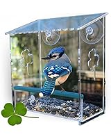 Amazon.com: Girls Rule Little Girls' Animal Prin