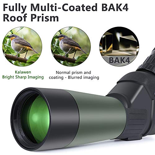 20-60x60 HD Spotting Scope with Tripod, Optics Zoom 57-120Ft/1000Yds BAK4 Angled Spotting Scope for Target Shooting,Hunting,Bird Watching,Wildlife Scenery