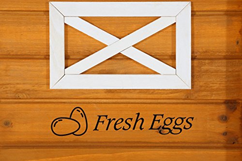 Pet Squeak Hen House Chicken Coop - Thumbnail 6