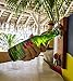 Joyfor, Magnetic Bottle Opener Wall Mount Fridge Magnet Beer Cap Catcher Kitchen Tool
