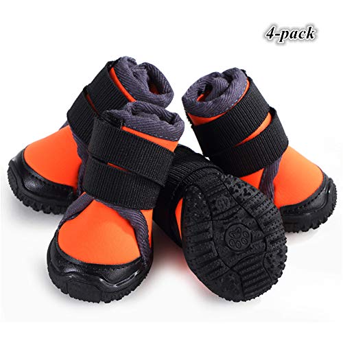 5+ Best Dog Boots for Hunting 2019 (High Quality, Safety)