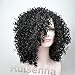 RUISENNA Afro Curly Hair Wigs for Black Woman High density Kinky Hair 100% Heat Resistant Fiber Synthetic Wig 20