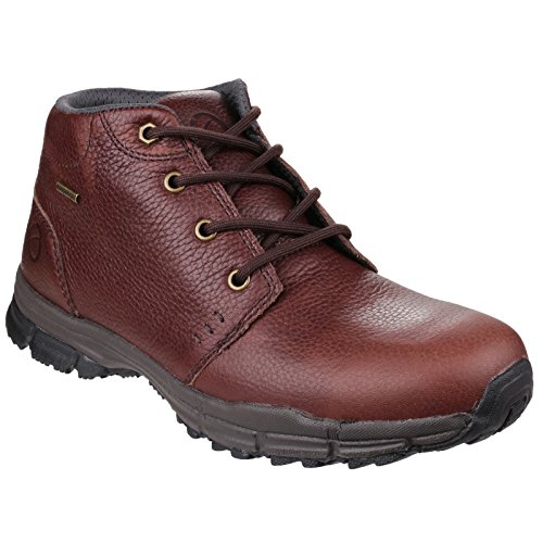 Cotswold Womens/Ladies Chosen Lace Up Hiking Boots (6 US) (Brown) Cotswold Womens/Ladies Chosen Lace Up Hiking Boots (6 US) (Brown)