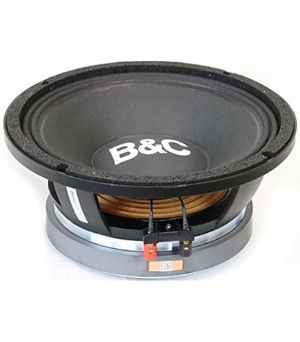 Amazon.com: B&C Speakers 15FW76-8 LF Drivers 15-inch Woofer 8 Ohms