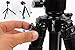 Weifeng Model FT 6662A Tripod with Ball Head and Bag