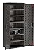 Suncast Commercial Tall Cabinet Blow Molded 6 Shelf, Black