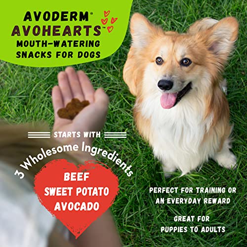 AVODERM AVOHEARTS BEEF AND AVOCADO FORMULA DOG TREATS, 5OZ BAG