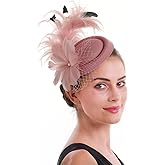 SAFERIN Fascinator for Women Hair Clip Hat Bowler Feather Flower Veil Wedding Party Hat Tea Hat