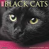 Just Black Cats 2020 Wall Calendar by 