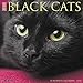 Just Black Cats 2020 Wall Calendar by 