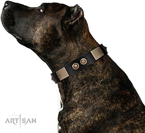 26 inch Black FDT Artisan "Moon of Dreams" Leather Dog Collar with Plates and Conchos - 1 1/2 inch (40 mm)-with Gift Packaging