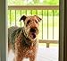 Saint-Gobain ADFORS FCS8990-M Premium Pet Screen, 36