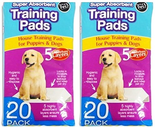 2 x Pet training pads