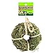 Ware Manufacturing Natural Wood Hang-N-Hay Donut Chew Toy for Small Pets