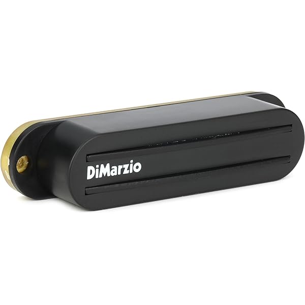 Amazon.com: DiMarzio Pickup, White (DP180 W) : Musical Instruments