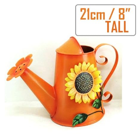 E Den Grade B Decorative Metal Watering Cans Indoor Home Decor