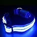 Ultimate LED Dog Collar – USB Rechargeable, Cable Included, 5 Awesome Colors. Ultra Bright, Durable, Made to Last. Make Your Dog More Visible at Night. (Medium Blue)