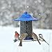 Perky-Pet 312B Blue Sparkle Panorama Bird Feeder