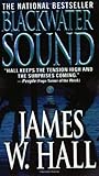 Blackwater Sound: A Novel (Thorn Mysteries)