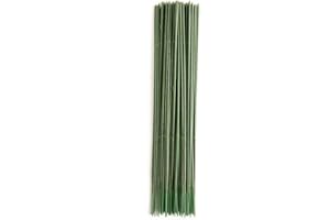 ALITAVER MOIAK 100pcs Plastic Floral Stem, Artificial Flower Rod, Plant Stub Wire Green Florist Wires, Ideal for The Crafts Person, 17CM and 25CM(25CM)