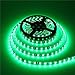 ALITOVE 16.4ft 5050 SMD 5M 300 pixels Black PCB Waterproof Green LED Flexible Strip ribbon Light DC 12V for Home Garden Commercial Area and Festival Decoration Lighting