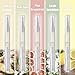 Maniology (formerly bmc) 5pc Revitalizing Nail and Cuticles Oil Pens Brush - Natural Oils Enriched w/Vitamin A, Vitamin E & Antifungal Tea Tree Oil for Healthier, Moisturized Nails, Dry Cuticle