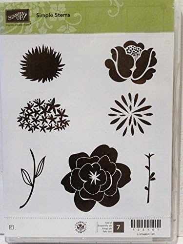 Stampin Up SIMPLE STEMS clear mount stamps flowers floral stem