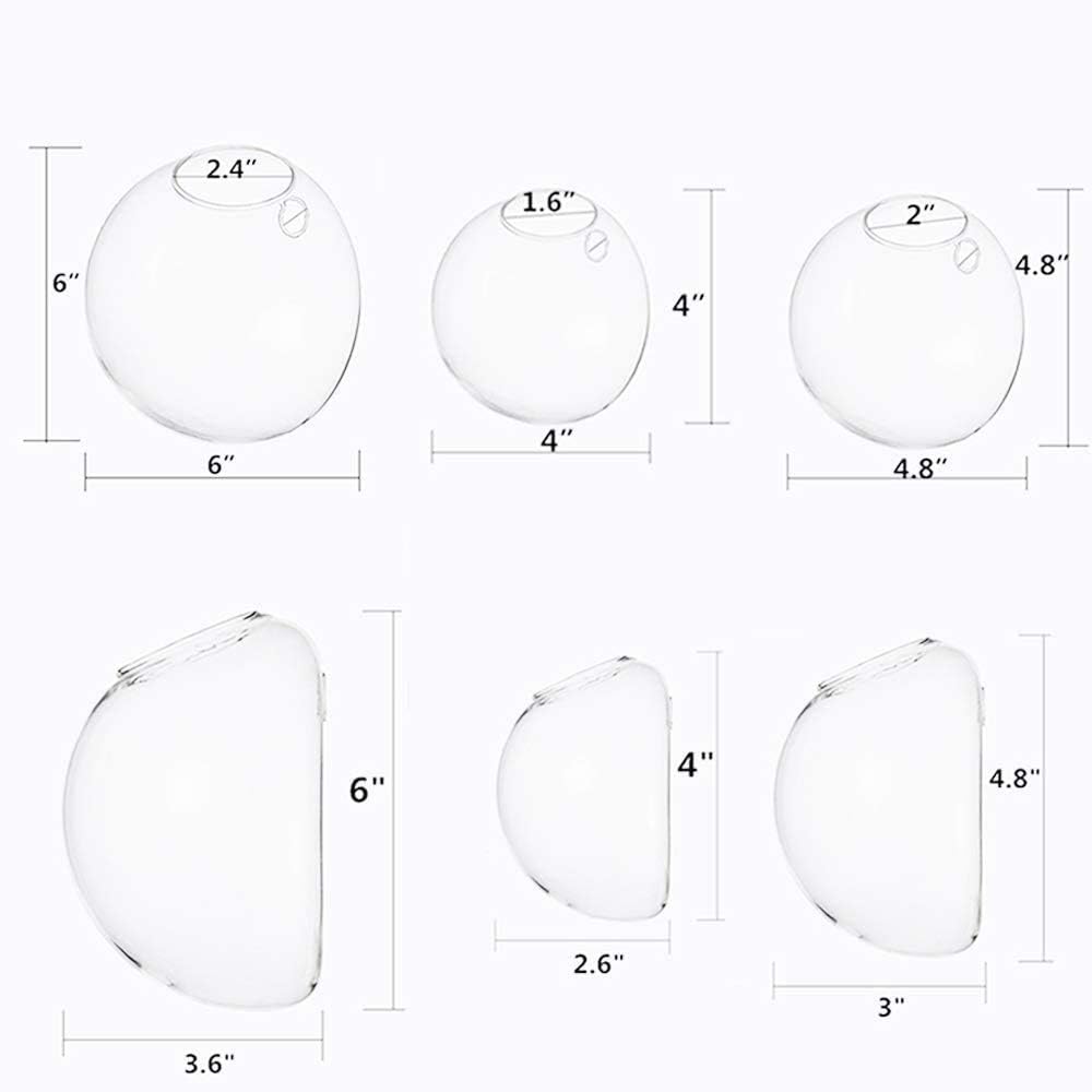 Set of 3 Wall Hanging Terrariums Indoor Plants Holders Wall Glass Vase for Flowers Wall Mounted Planters for Succulents Air Plants Wall Decoration for Sunroom Living Room: Garden & Outdoor