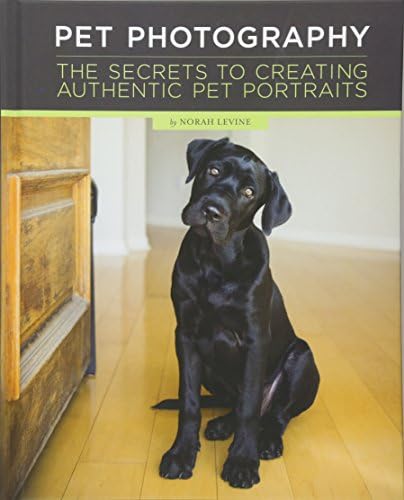 Pet Photography: The Secrets to Creating Authentic Pet Portraits